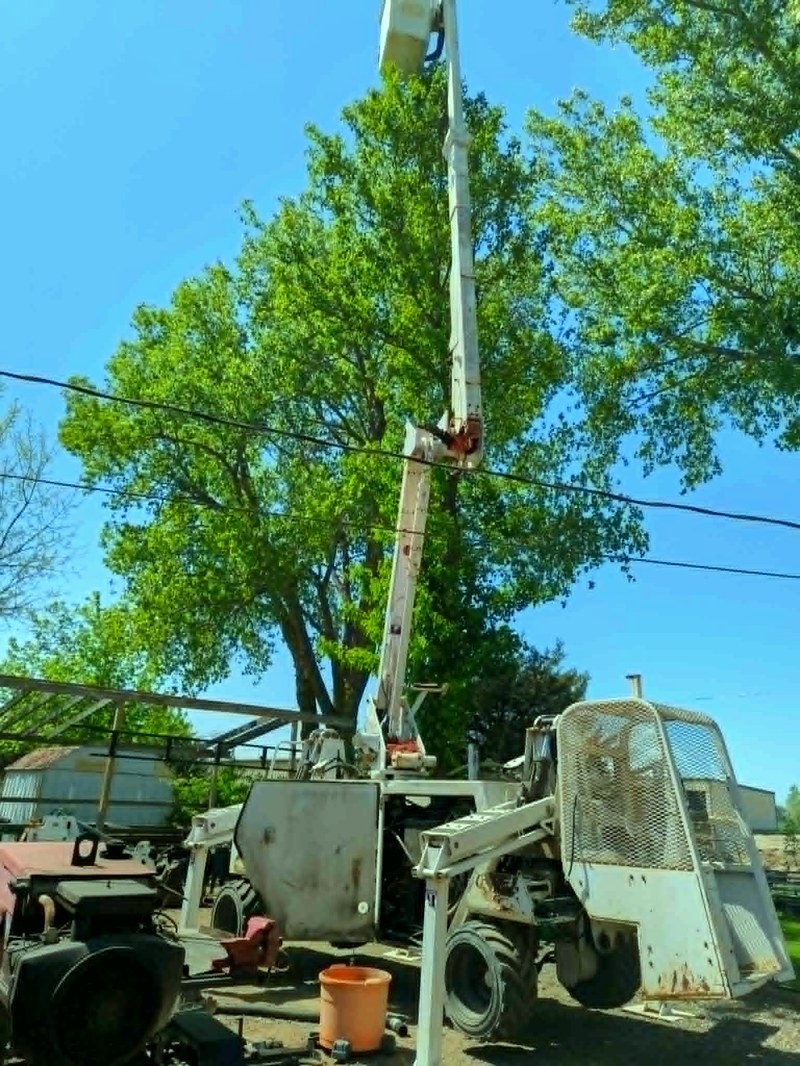 ClearView Tree professional
